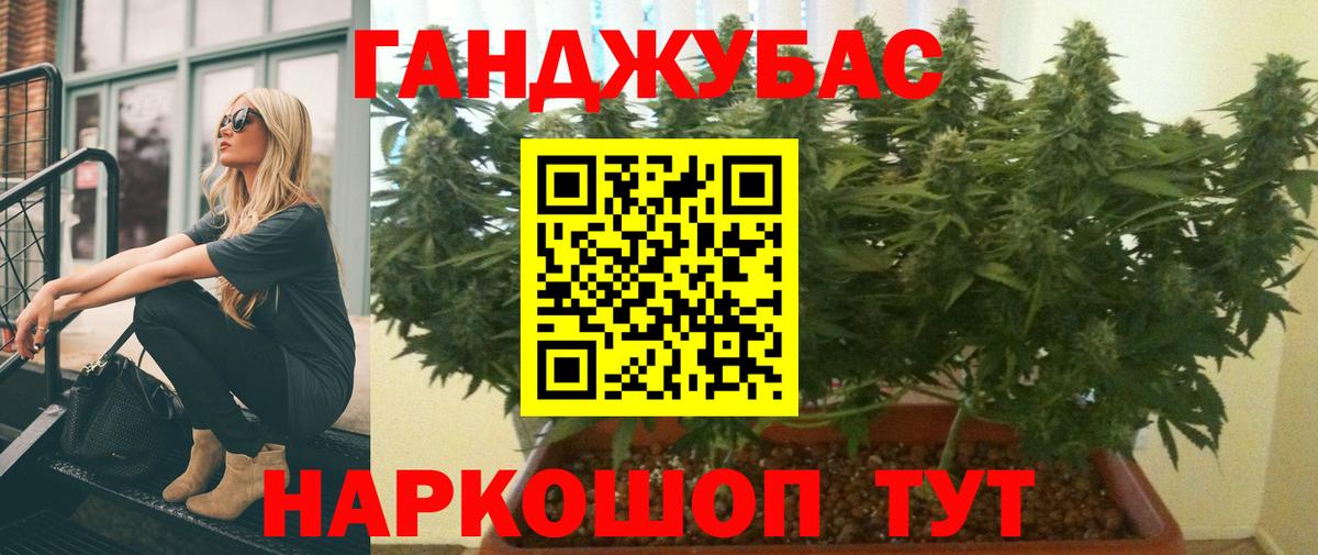 Когалым  Каннабис сатива  Канабис Bruce Banner  Вход с VPN  Марихуана White Widow 